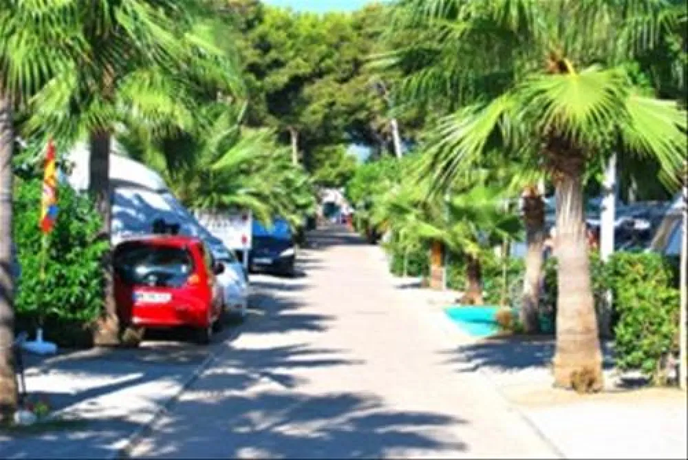 Camping Torre La Sal 2