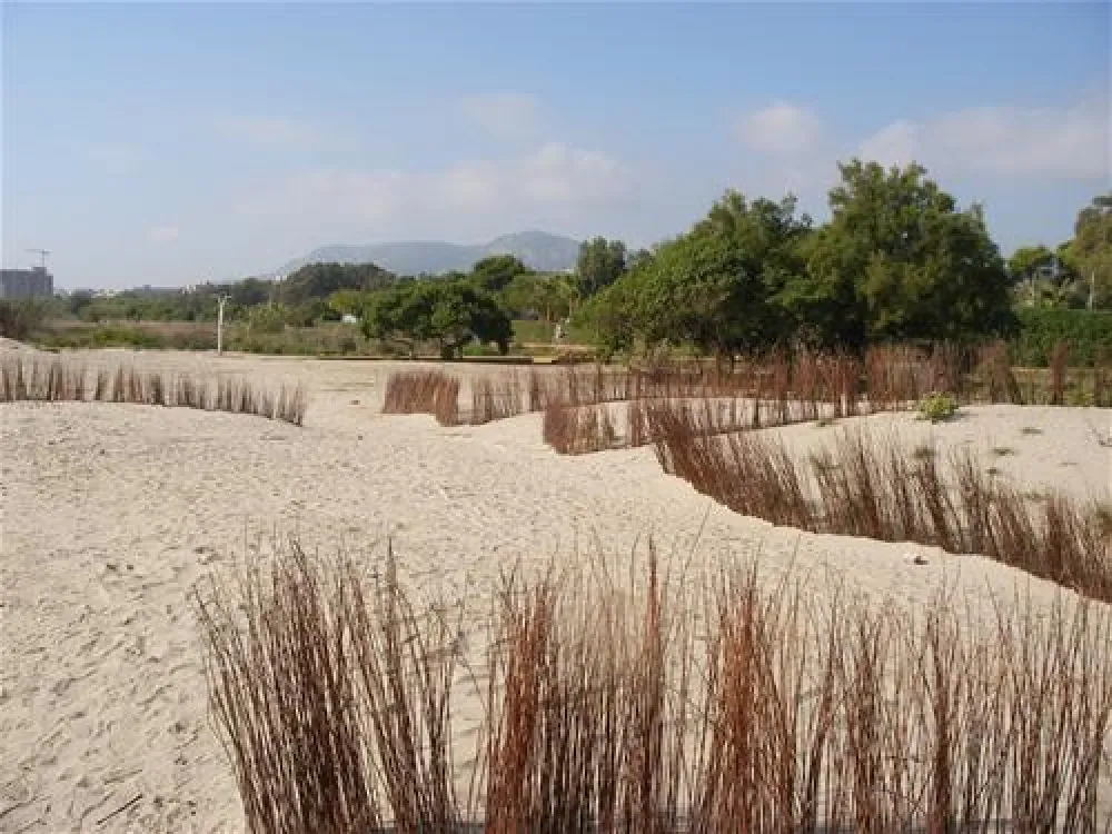 Camping Torre La Sal 2