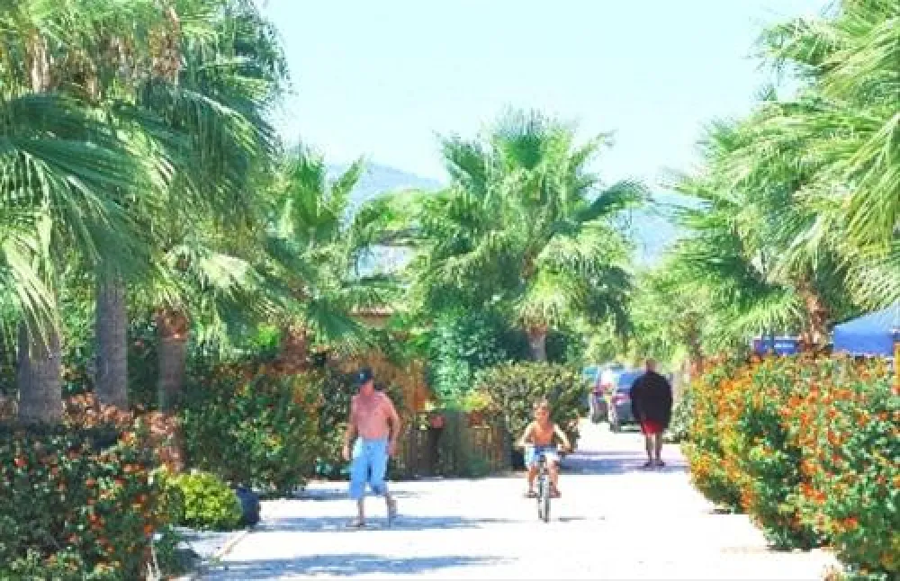 Camping Torre La Sal 2