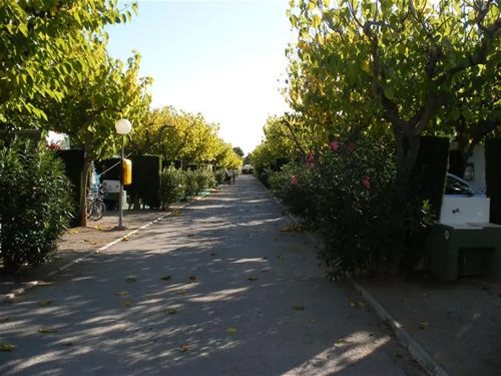 Camping Torre La Sal 2