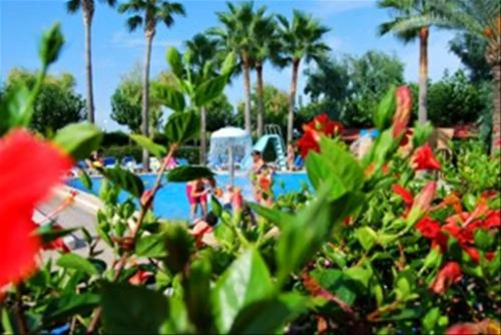 Camping Torre La Sal 2