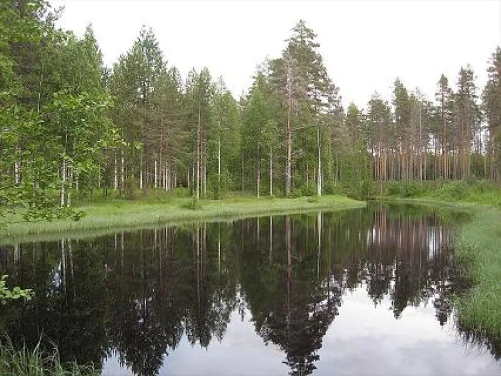 Camping Ruunaan Matkailu
