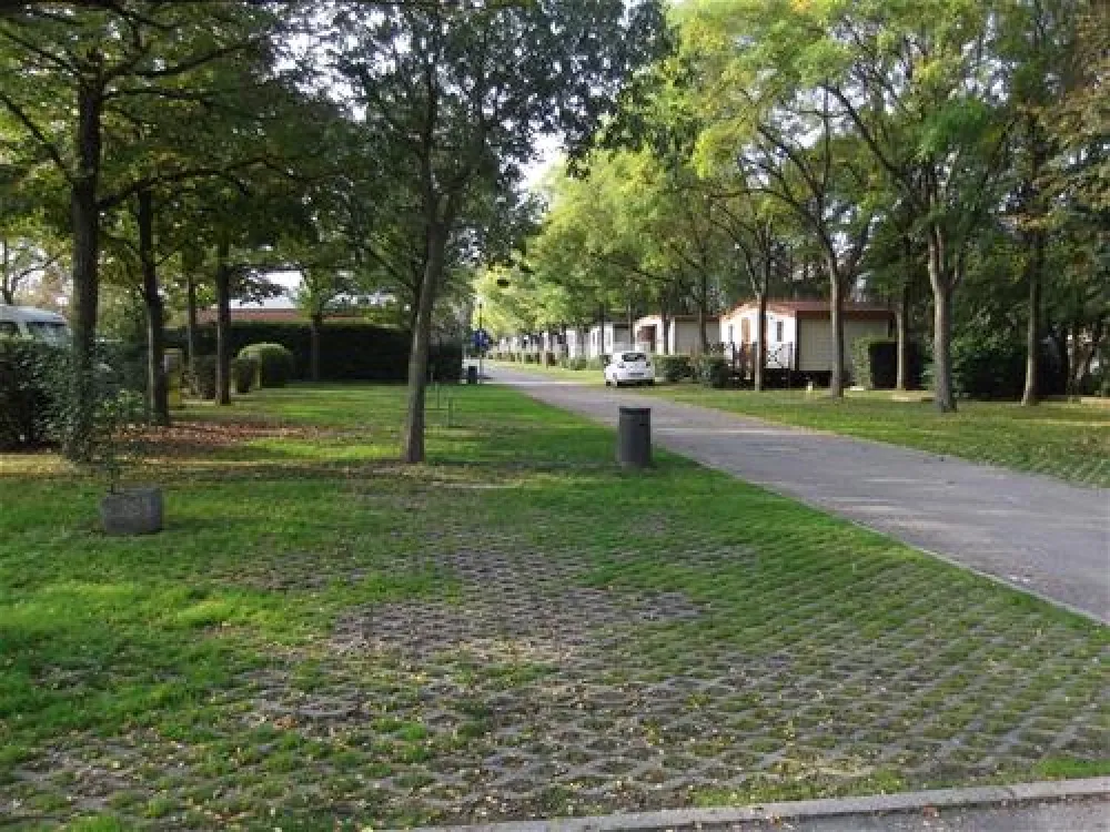 Campeggio Citta` di Bologna