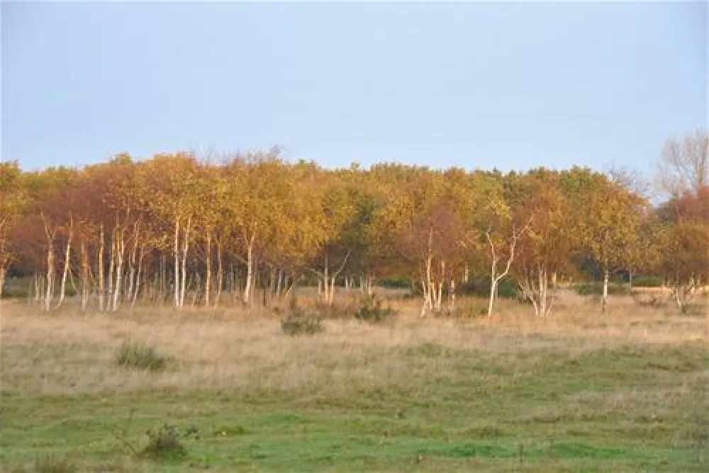 Vakantiepark Schouwen