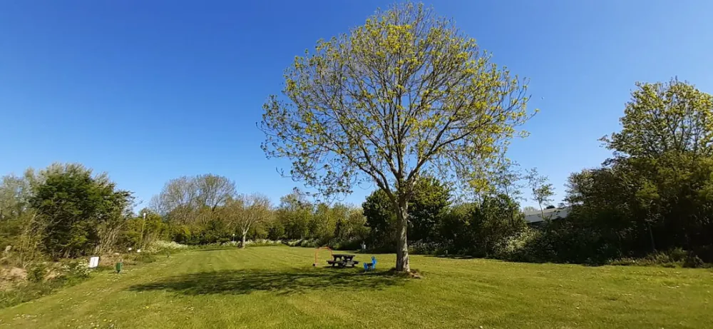 Stadscamping Bloemketerp