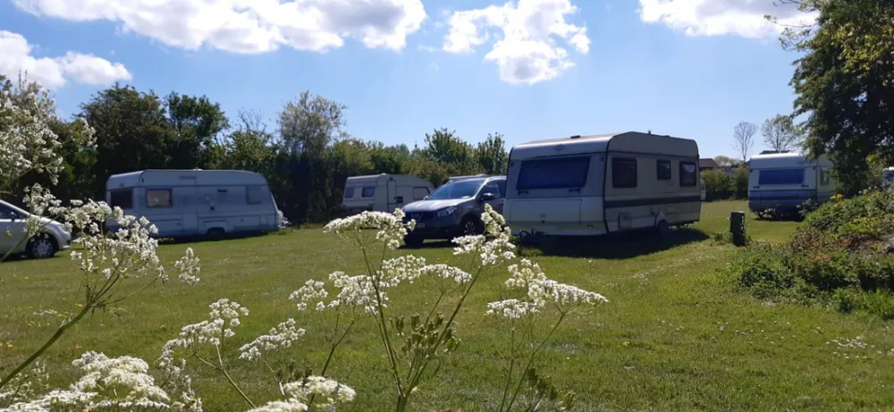 Stadscamping Bloemketerp