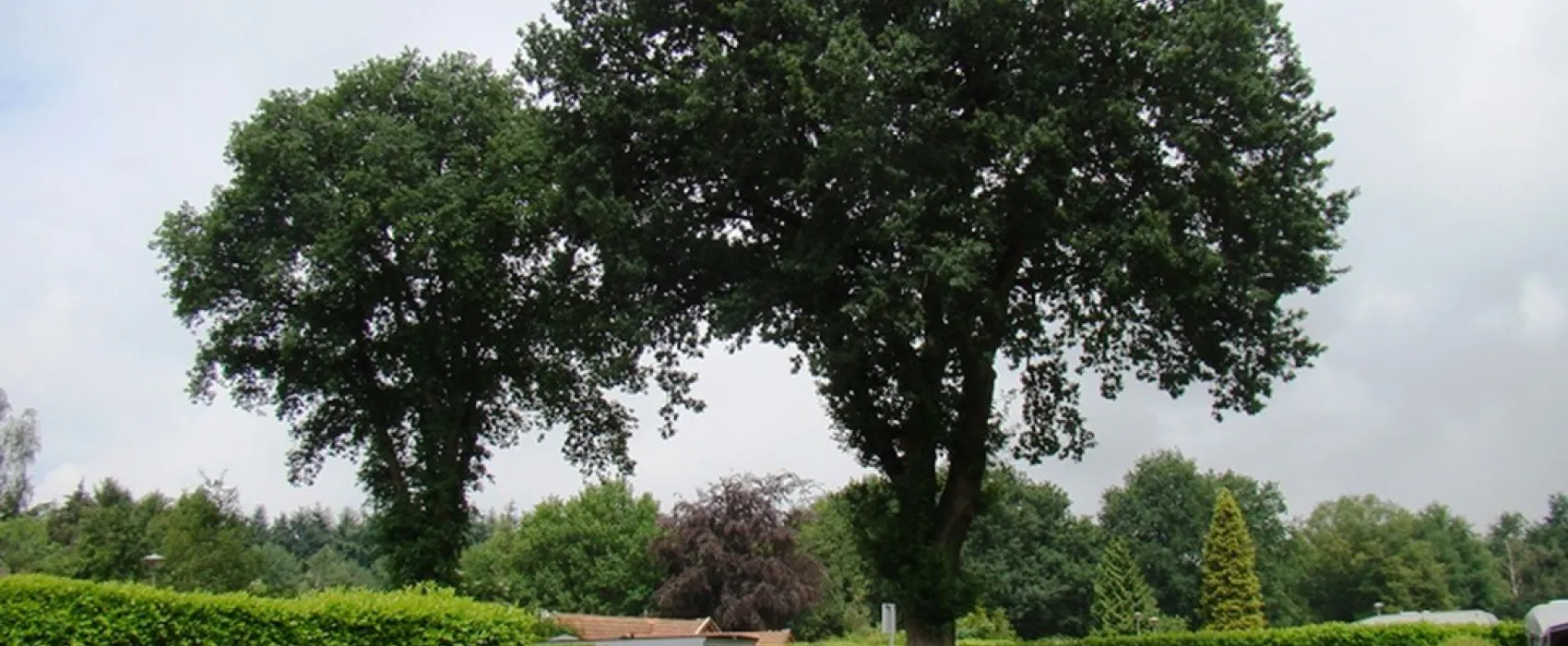 Camping groepsverblijf Alinghoek