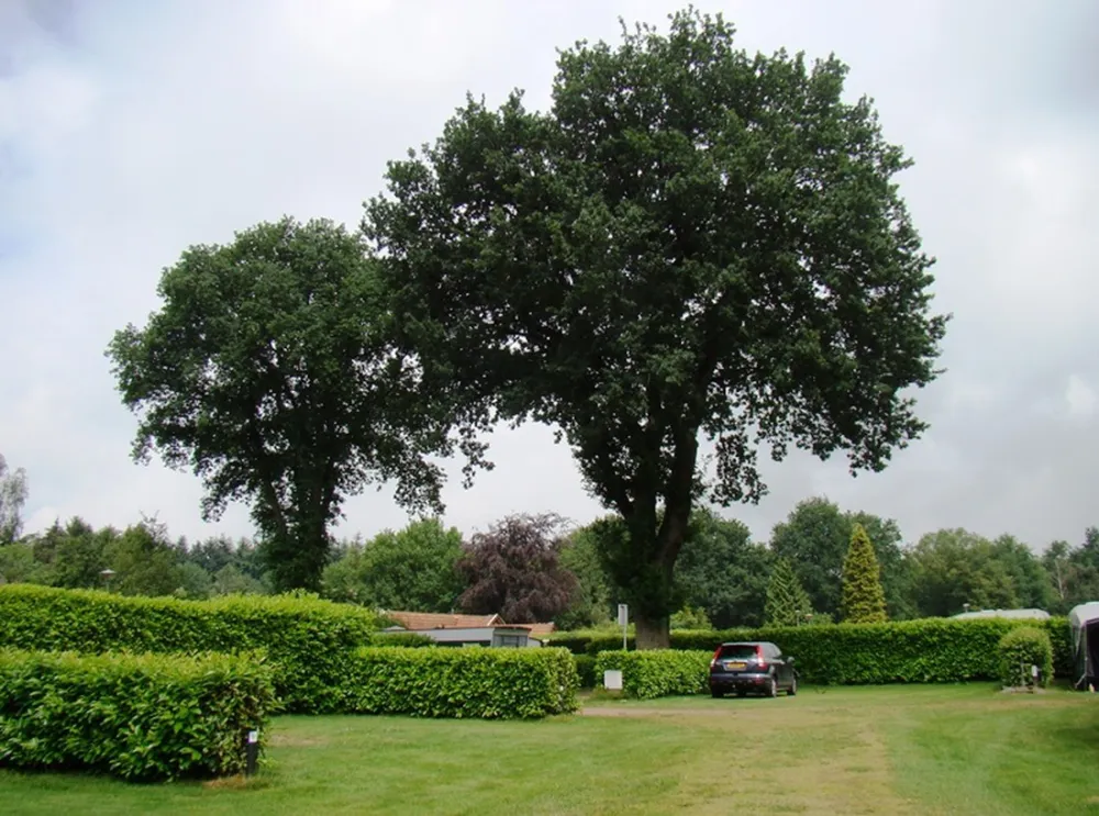 Camping groepsverblijf Alinghoek