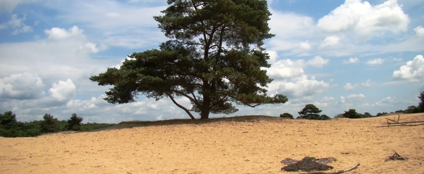 Camping groepsverblijf Alinghoek