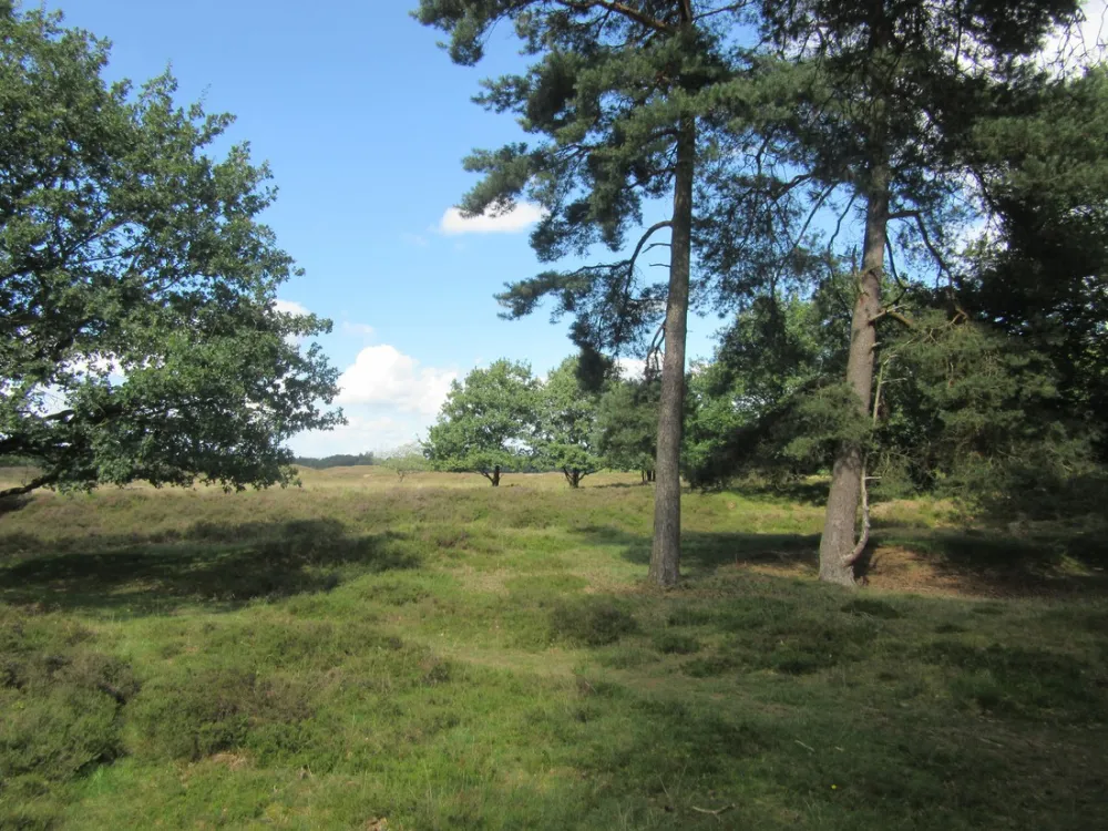 Camping groepsverblijf Alinghoek