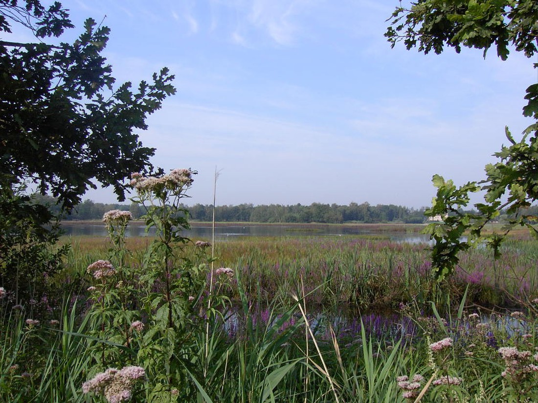 CampHeidestrand N.V. photo 4