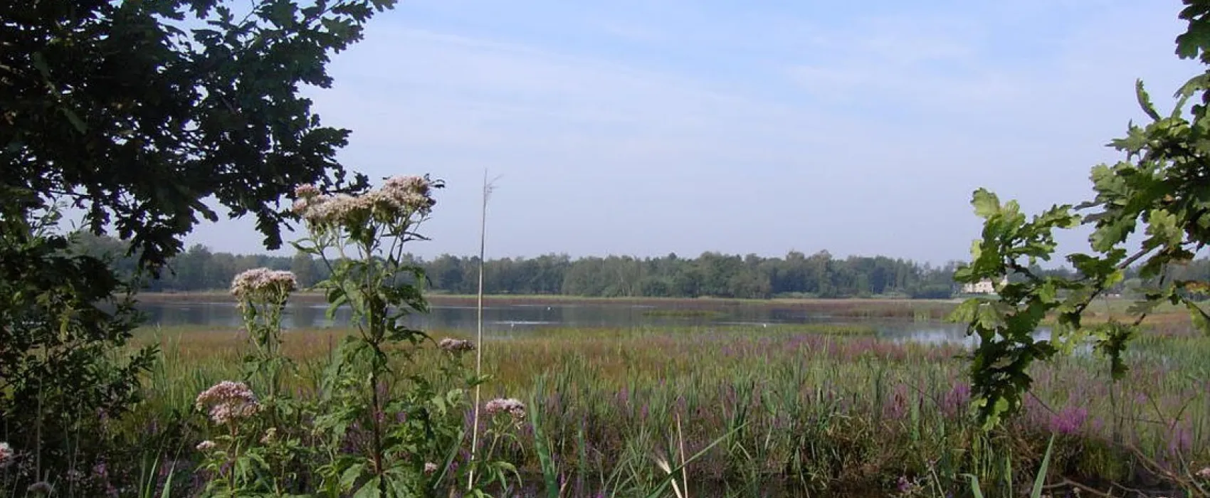 CampHeidestrand N.V.