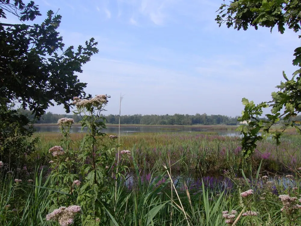 CampHeidestrand N.V.