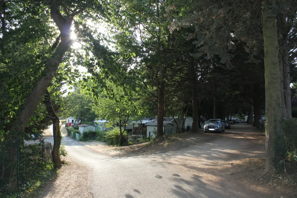 Village Center -Le Parc des Allais