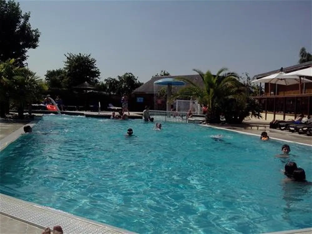 Camping Haliotis  