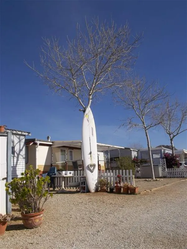 Camping los Delfines