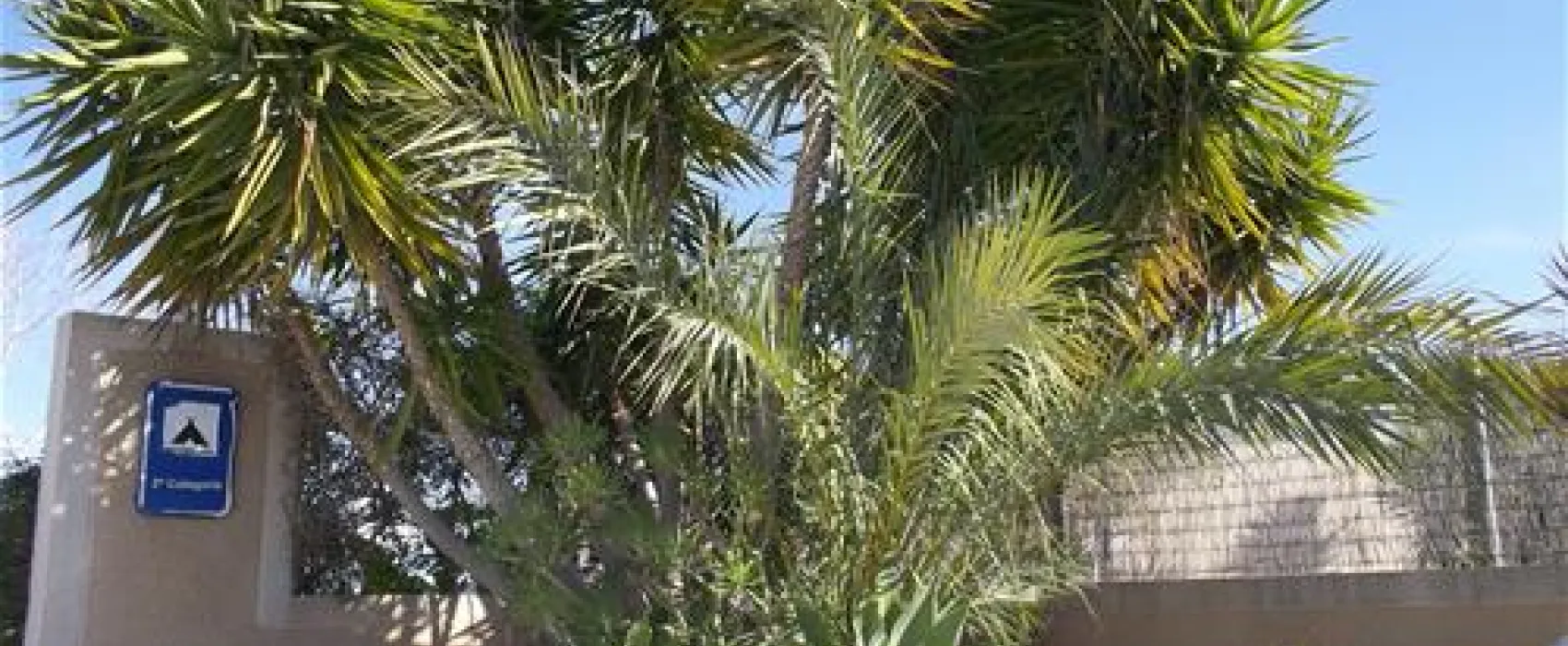 Camping los Delfines