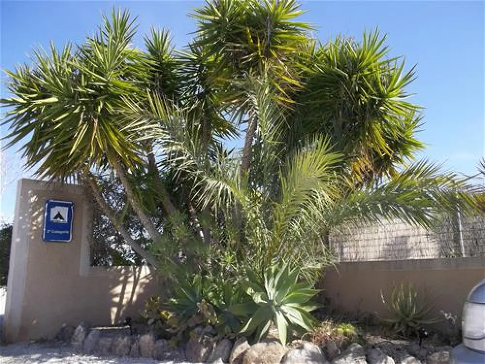 Camping los Delfines