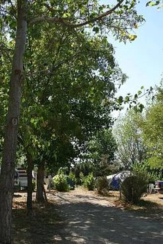 Camping Saint Lazare