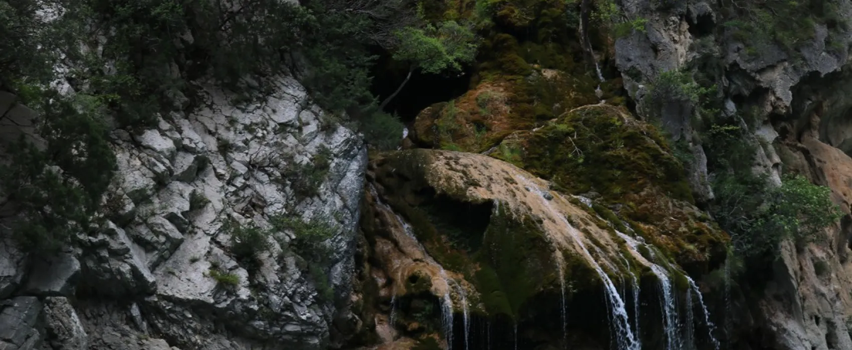 Camping Saint Lazare