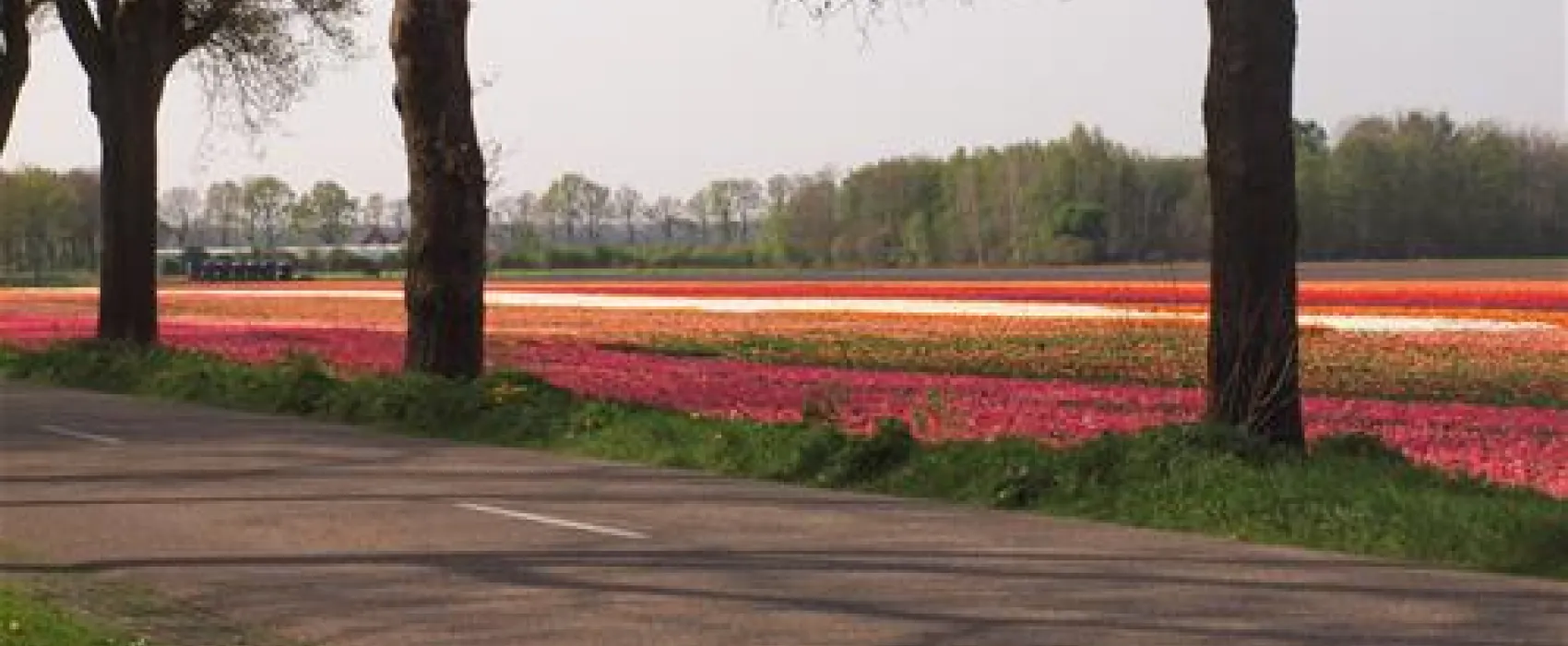 Minicamping de Vogelpoel