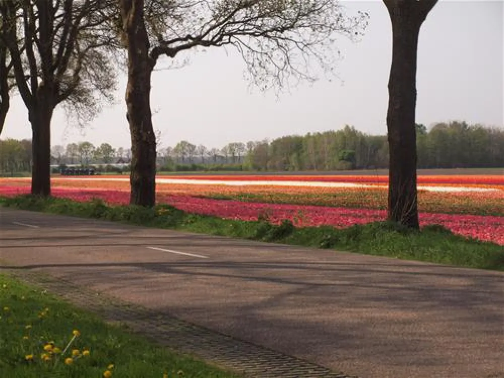 Minicamping de Vogelpoel