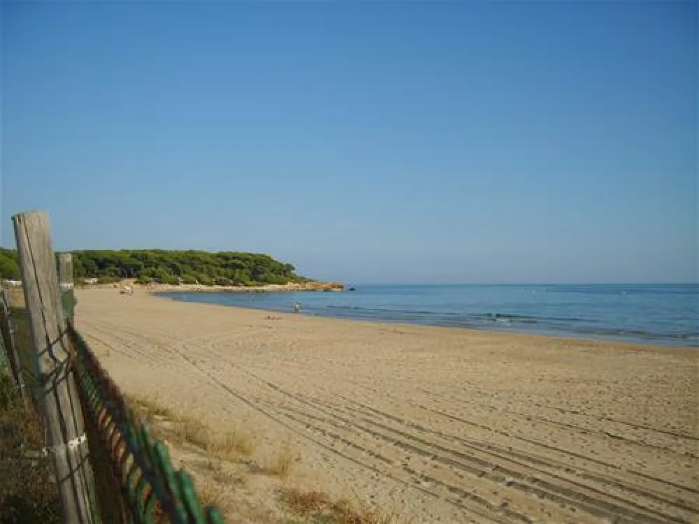 Camping las Palmeras