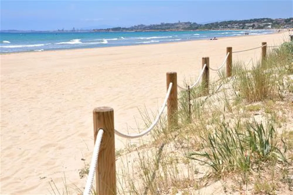 Camping las Palmeras