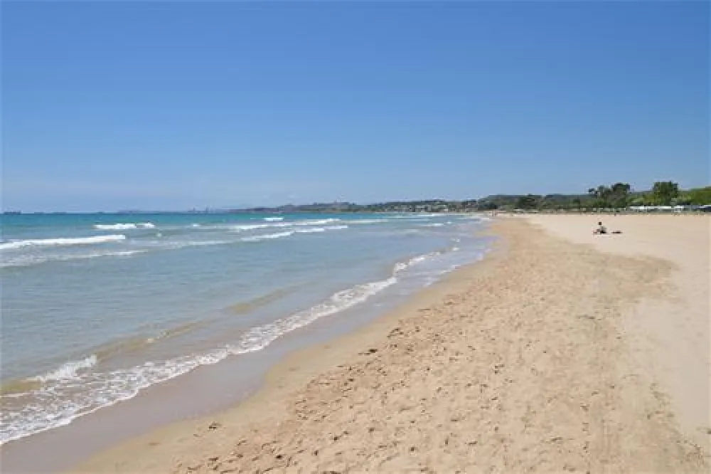 Camping las Palmeras