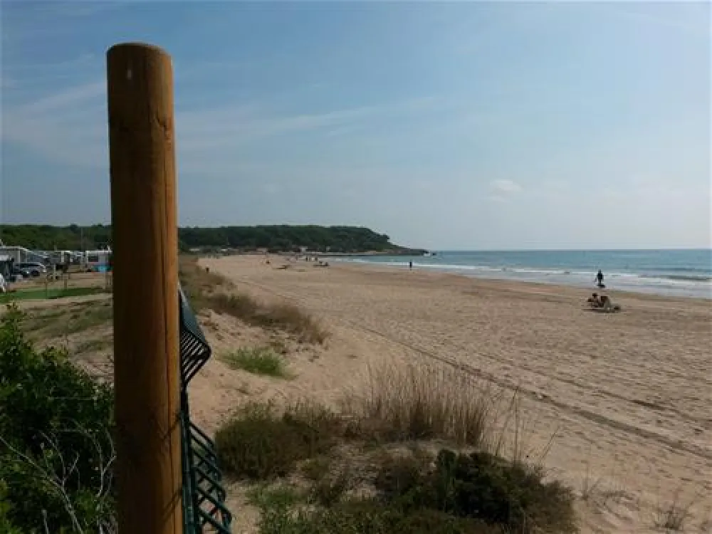 Camping las Palmeras