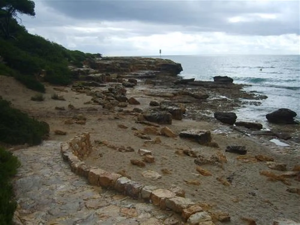 Camping las Palmeras