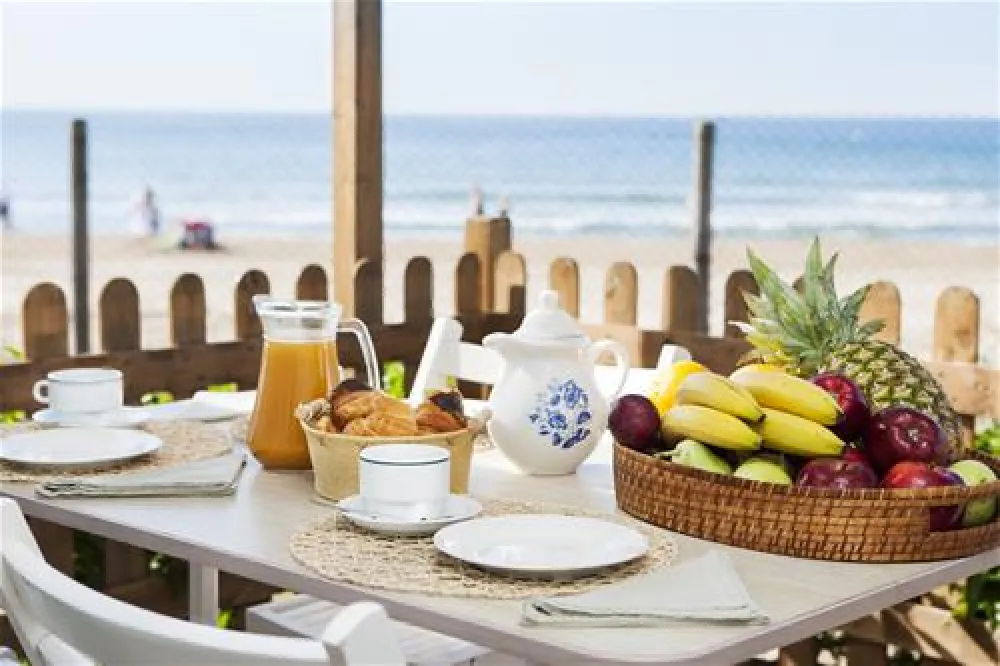 Camping las Palmeras