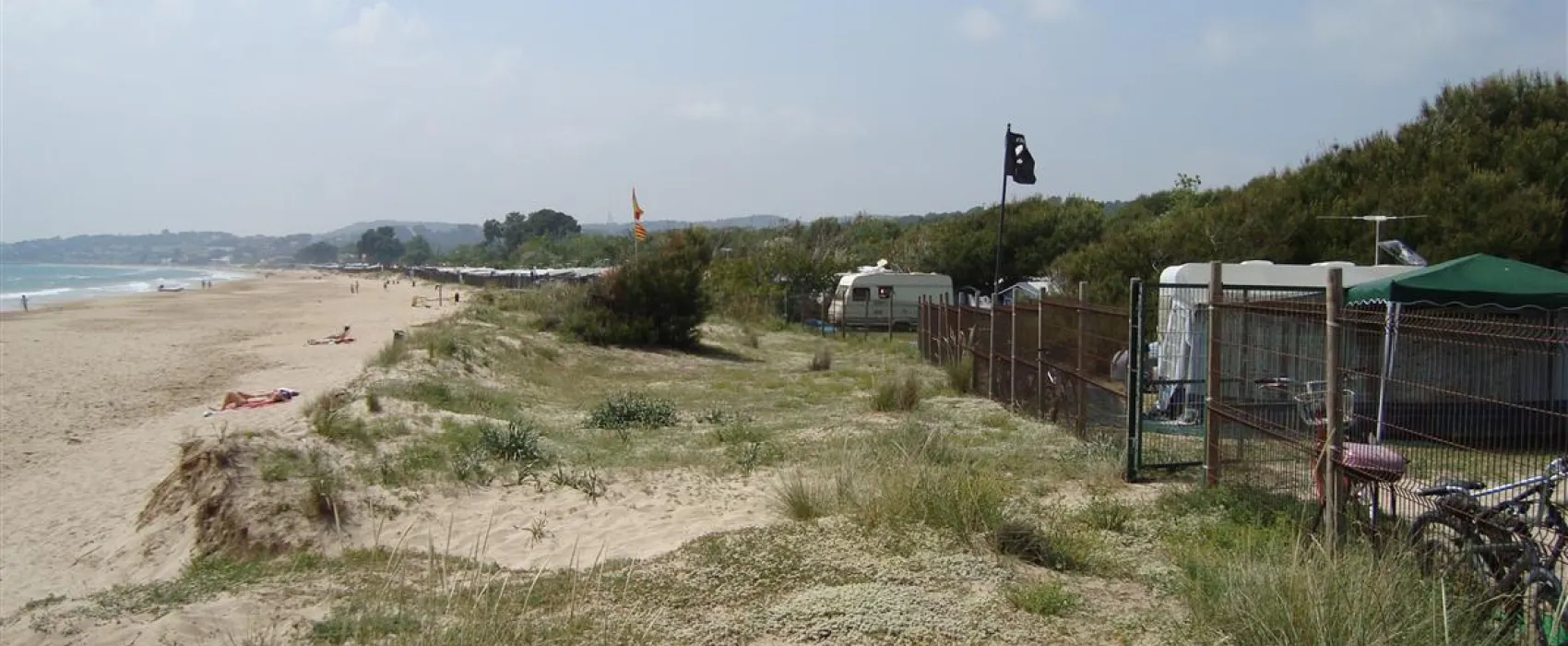 Camping las Palmeras