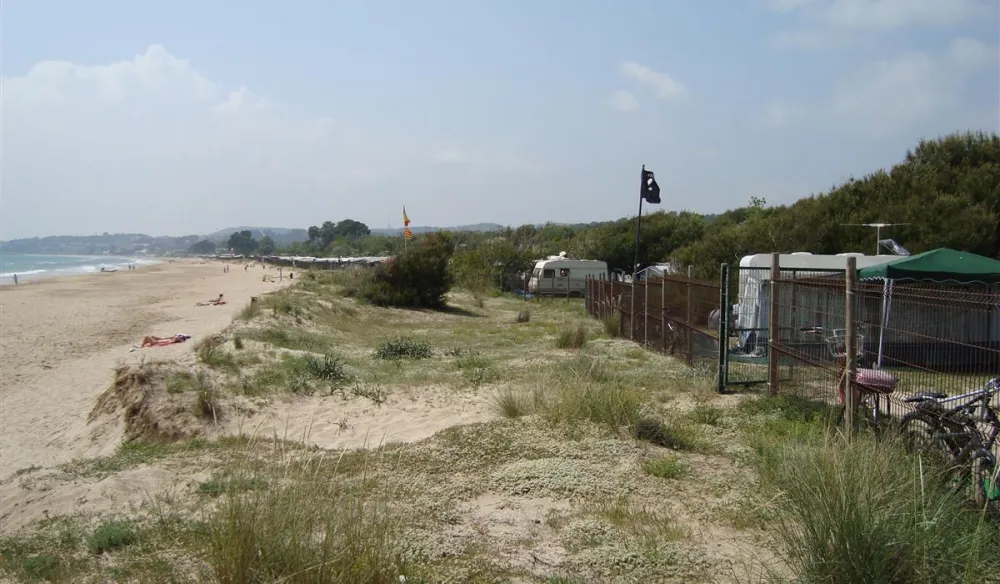 Camping las Palmeras