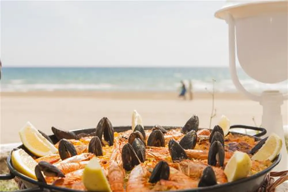 Camping las Palmeras