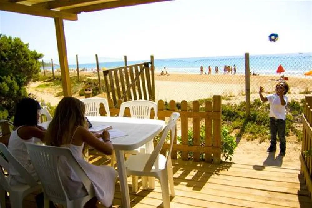 Camping las Palmeras