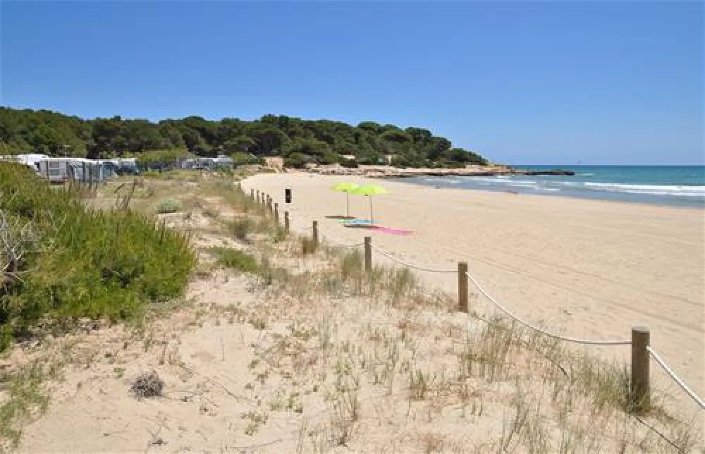 Camping las Palmeras