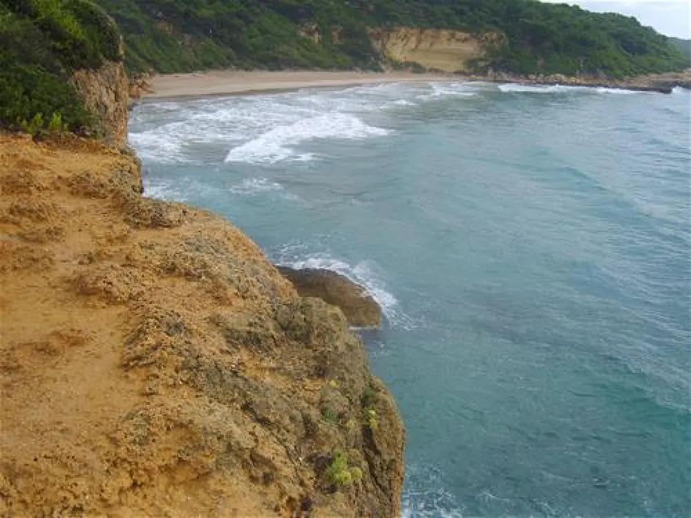 Camping las Palmeras