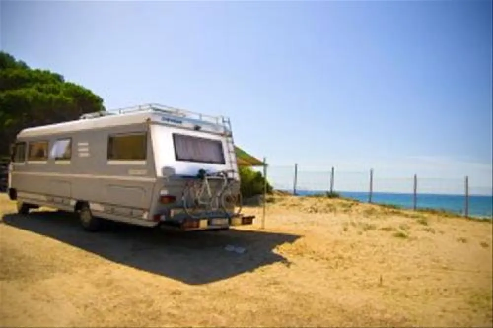 Camping las Palmeras