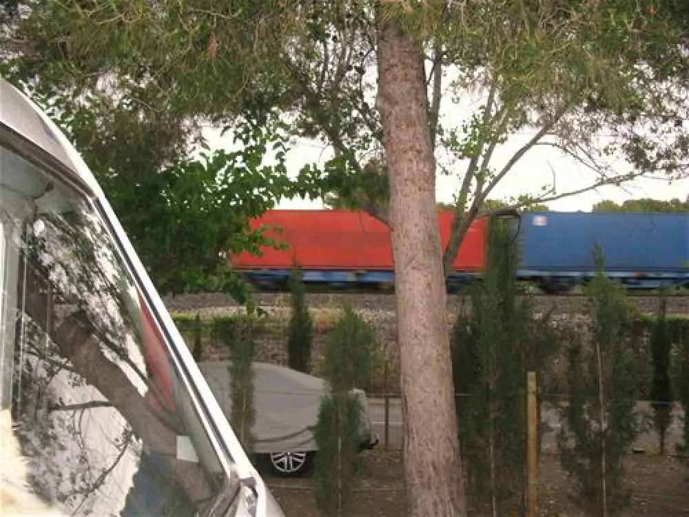 Camping las Palmeras