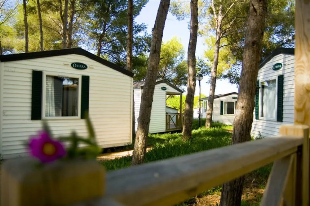 Camping las Palmeras