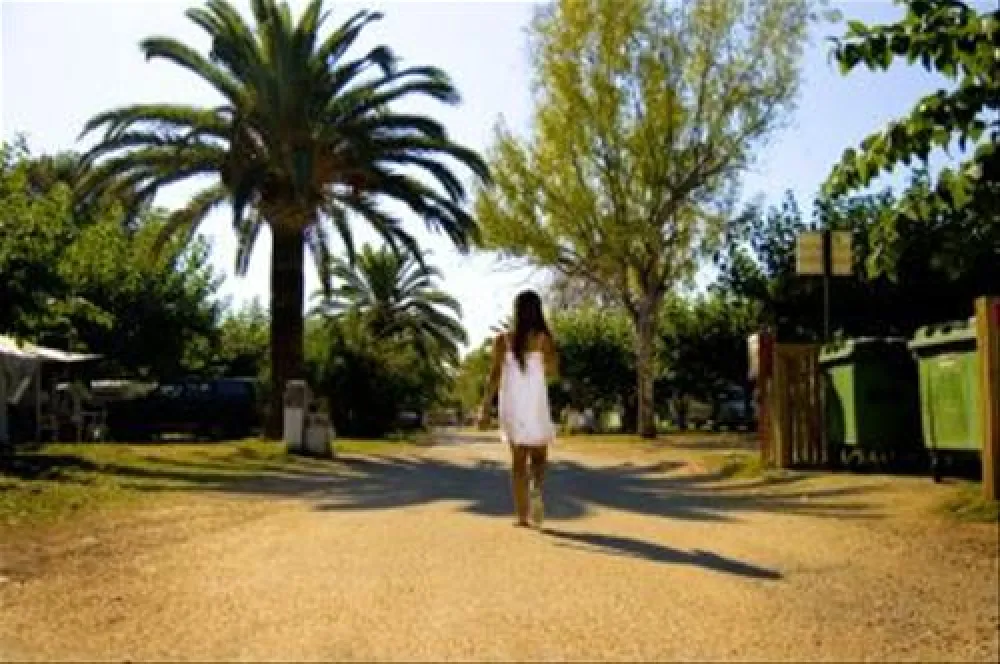 Camping las Palmeras