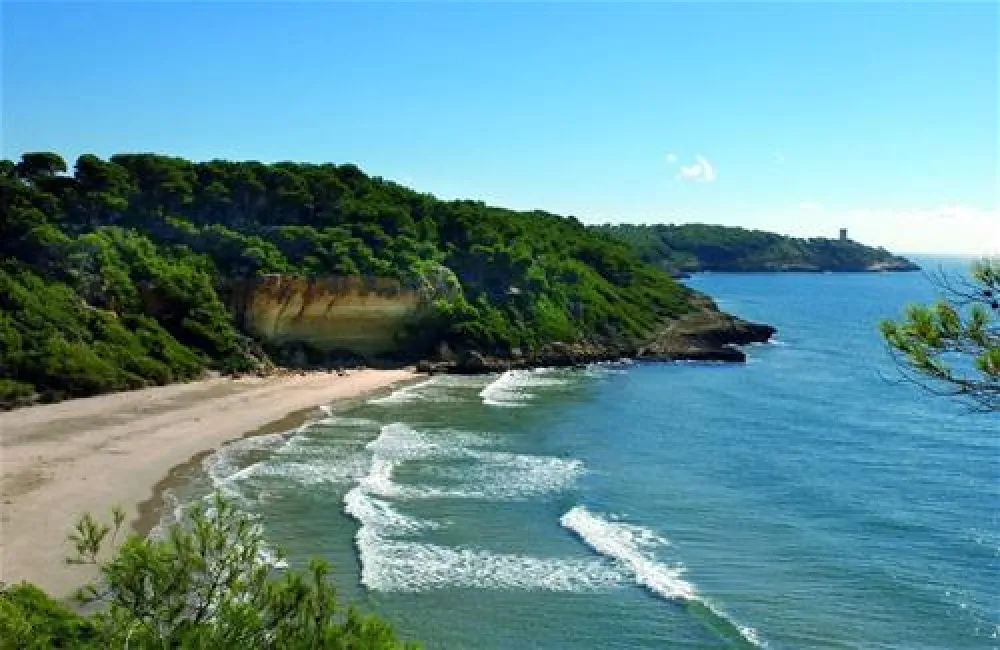 Camping las Palmeras