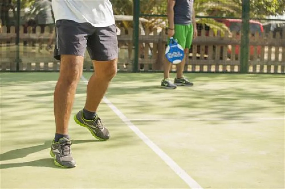 Camping las Palmeras