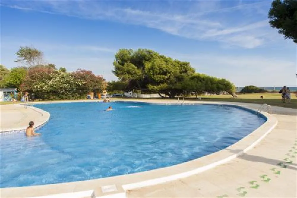 Camping las Palmeras