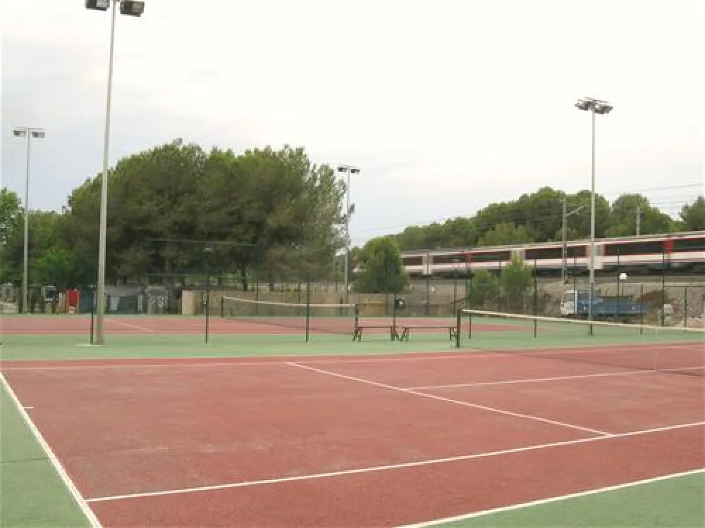 Camping las Palmeras