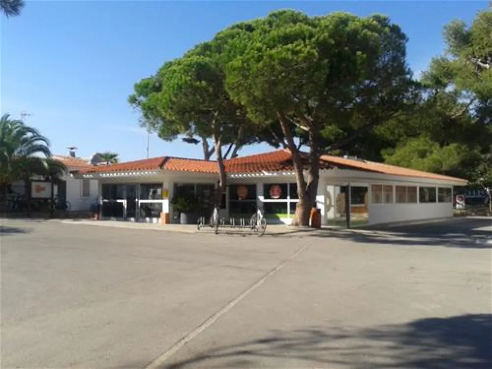 Camping las Palmeras