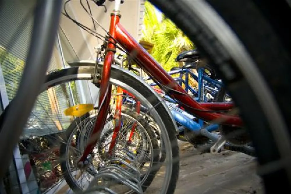 Camping las Palmeras