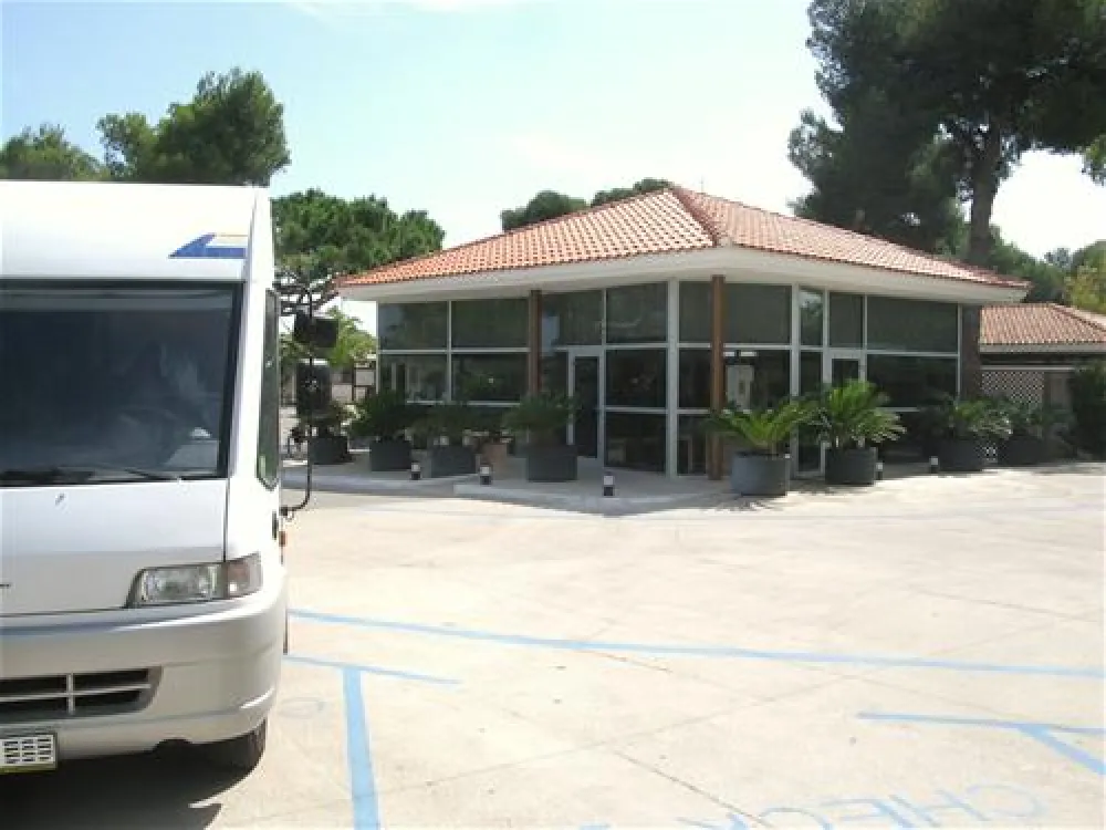 Camping las Palmeras