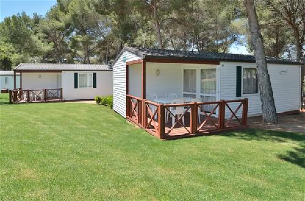 Camping las Palmeras